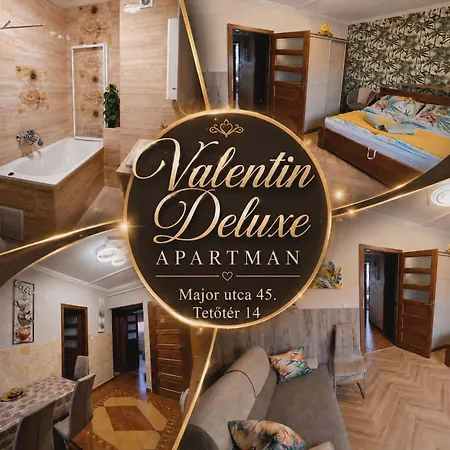 Valentin Deluxe アパート *