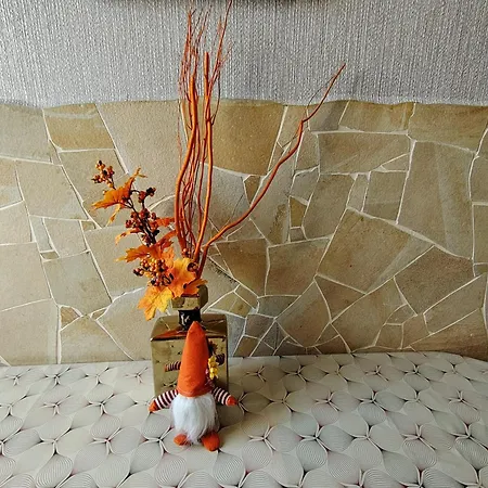 Valentin Deluxe Apartment Hajduszoboszlo